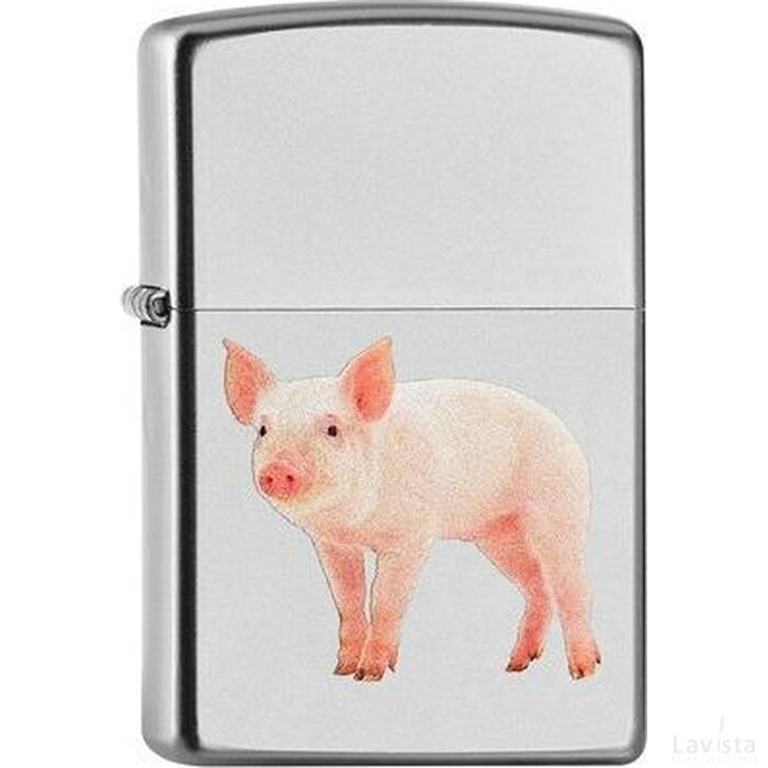 ZIPPO PIG ON STAGE